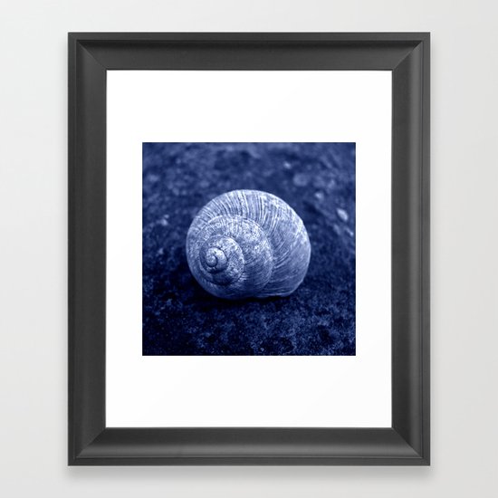blue snail shell Framed Art Print