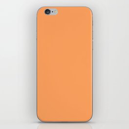 Orange Spice iPhone Skin