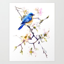 Bluebird and Dogwood, bird and flowers spring colors spring bird songbird design Art Print