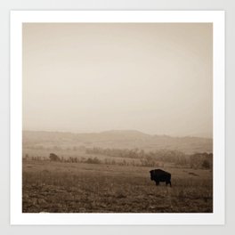 Oklahoma Art Prints Society6