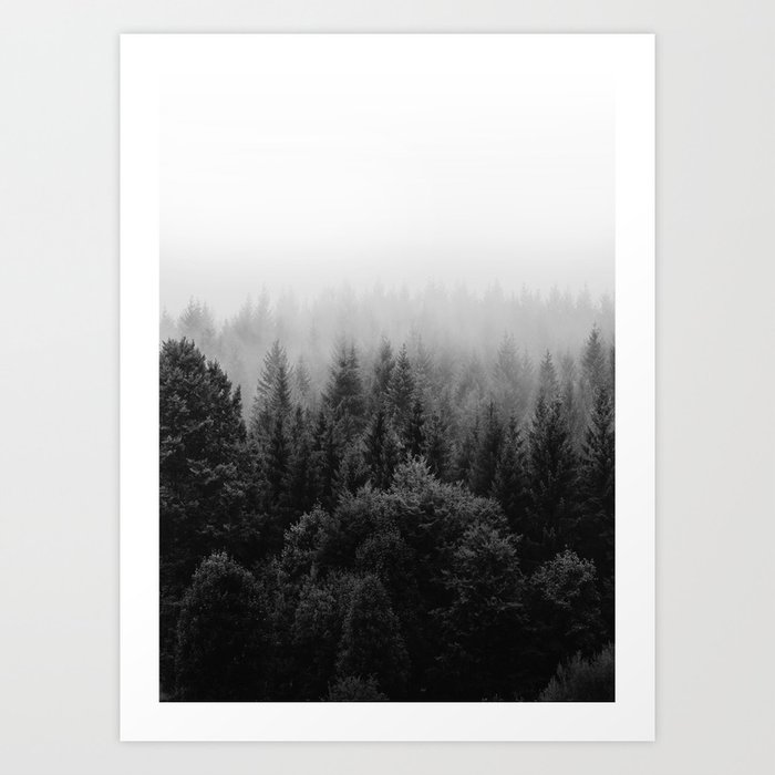 Forest, Black and White Art Print