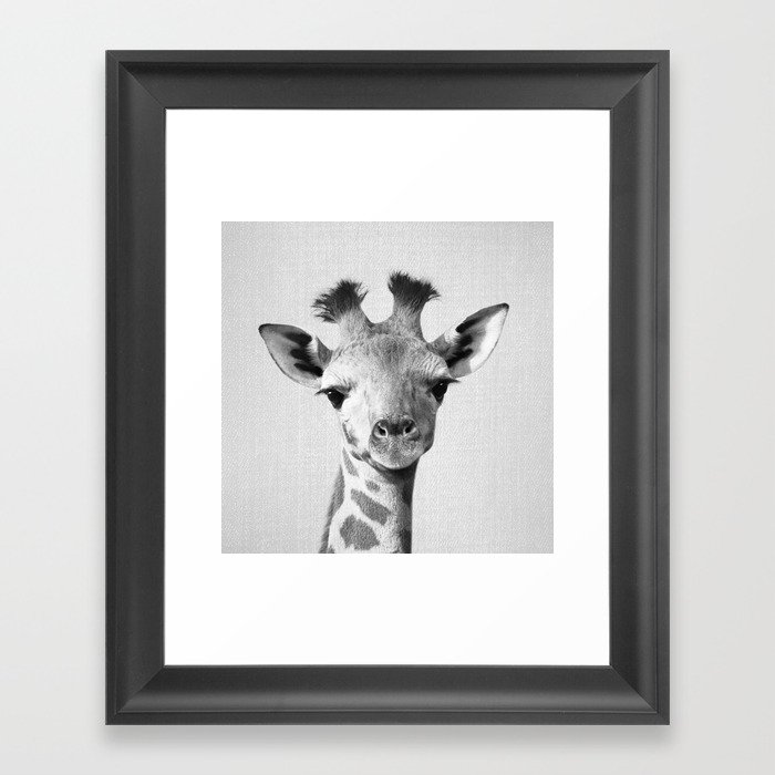 Baby Giraffe - Black & White Framed Art Print