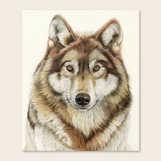 WOLF Canvas Print