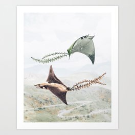 Flying Manta Rays Art Print