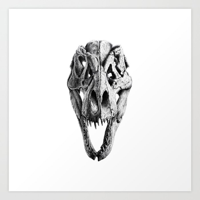 t rex skeleton head drawing