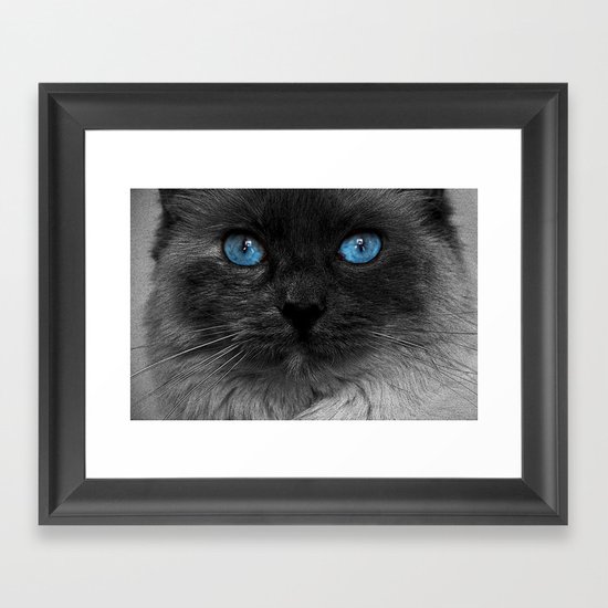 CATTURE Framed Art Print