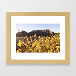 Fields of Sunshine Framed Art Print