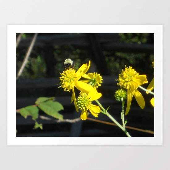 Pollen for my Queen Art Print