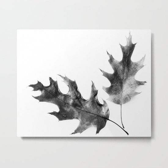 two leaves Metal Print