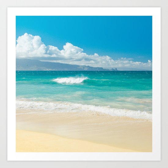 Hawaii Beach Treasures Art Print