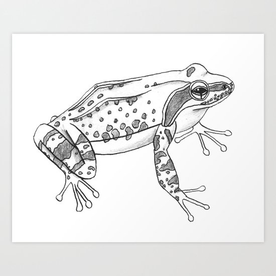 Little frog Art Print