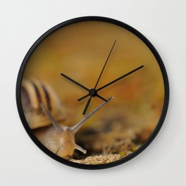 Snail Wall Clock