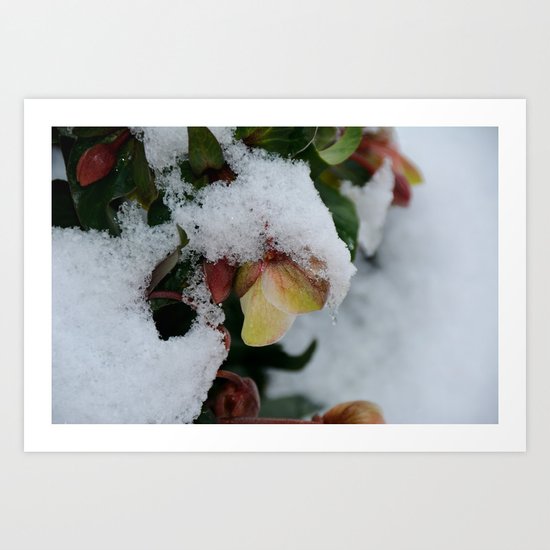 I promise you Spring Art Print