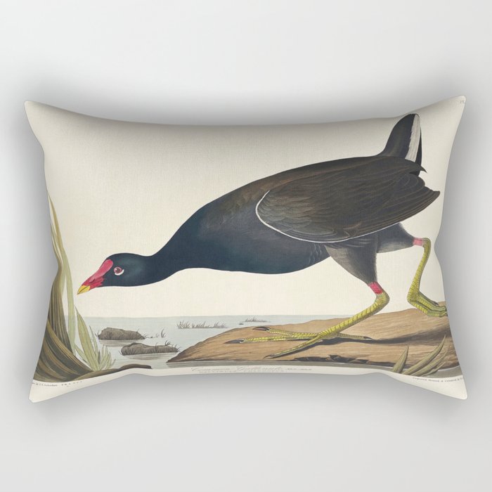 Common Gallinule from Birds of America (1827) by John James Audubon  Rectangular Pillow