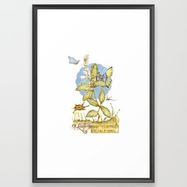 The Turtlehead Fairy Framed Art Print