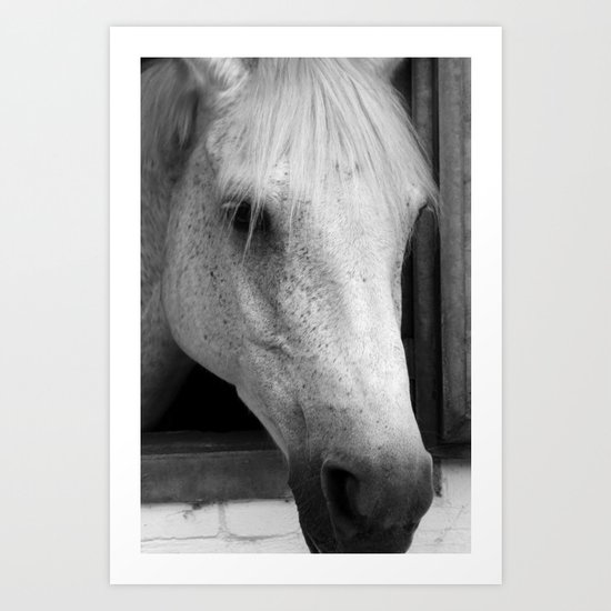 Portrait Art Print