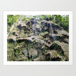 Tumalog Falls, Cebu, Philippines Art Print