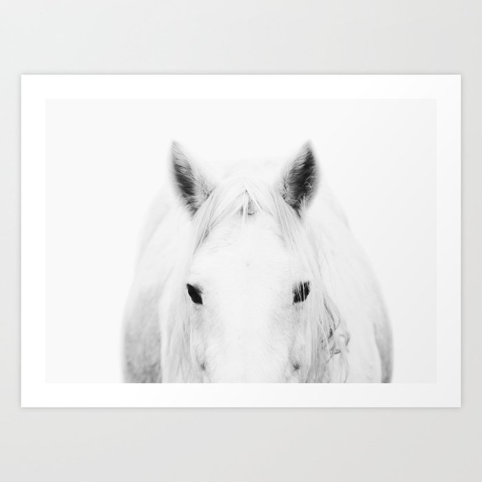 White Horse in fog Art Print