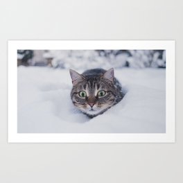 cat pet funny glance snow winter Art Print