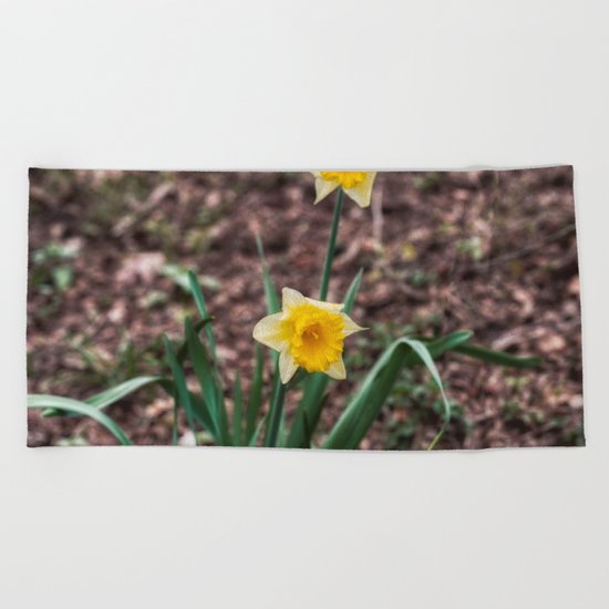 Spring Daffodil Beach Towel