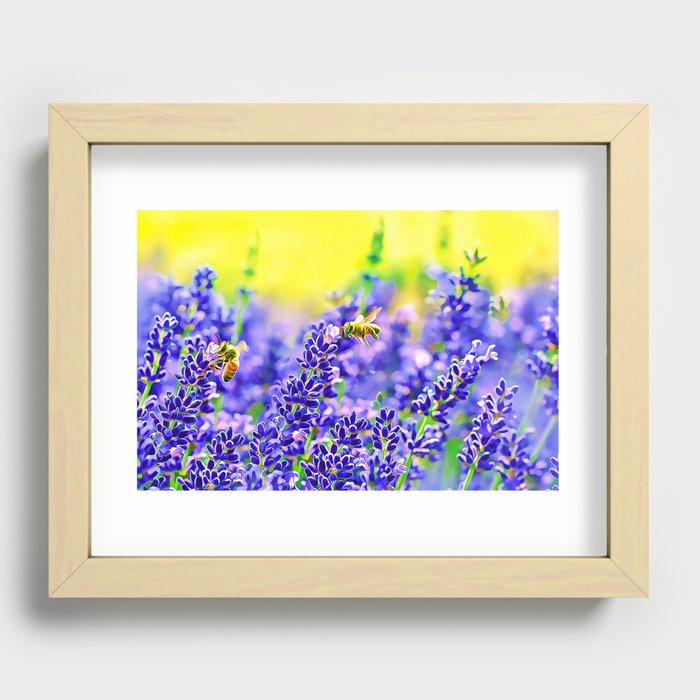 Honey Bees In A Field Of Purple Lavender Recessed Framed Print