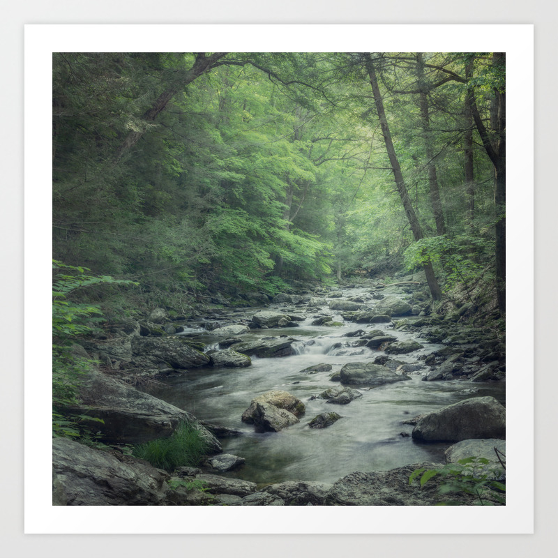 Misty Forest Stream Peaceful Woodland Photo Art Print By Suzanneharford Society6