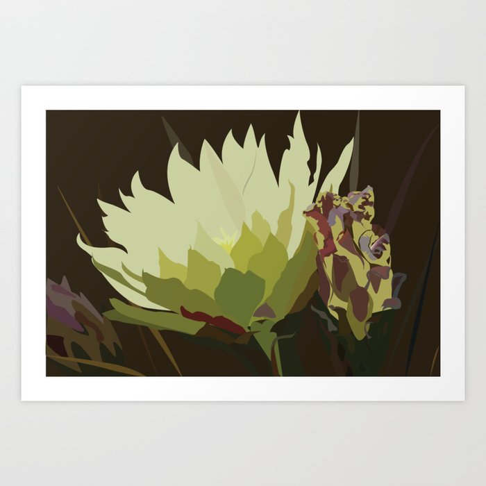 Cactus Flower in Bloom Art Print