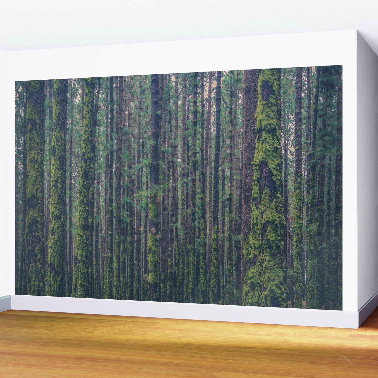 Forest Landscape Photography Tree Background Trees Vintage Style Wall Mural