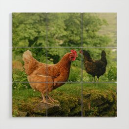 Rooster Morning in Ireland Wood Wall Art