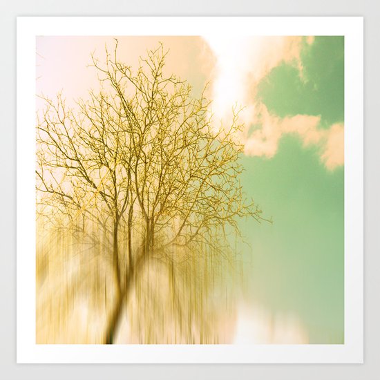 Impermanence Art Print
