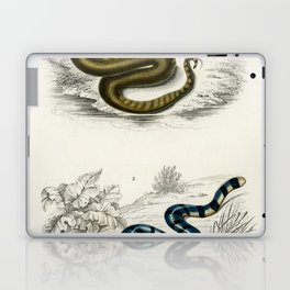 Elephant Trunk Snake & Columbrine Sea Krait Laptop Skin