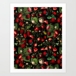 Vintage Strawberry Fields Midnight Garden  Art Print