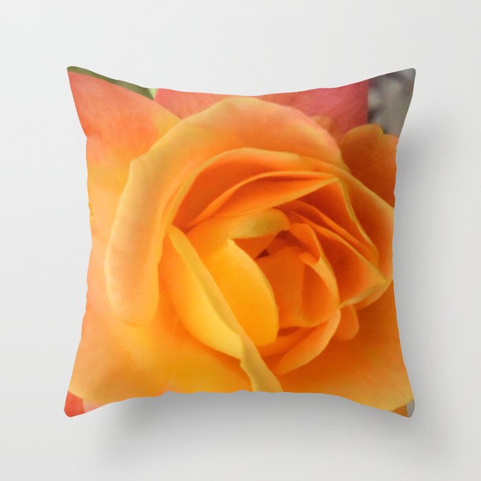 Cold Day, Warm Colors Throw Pillow
