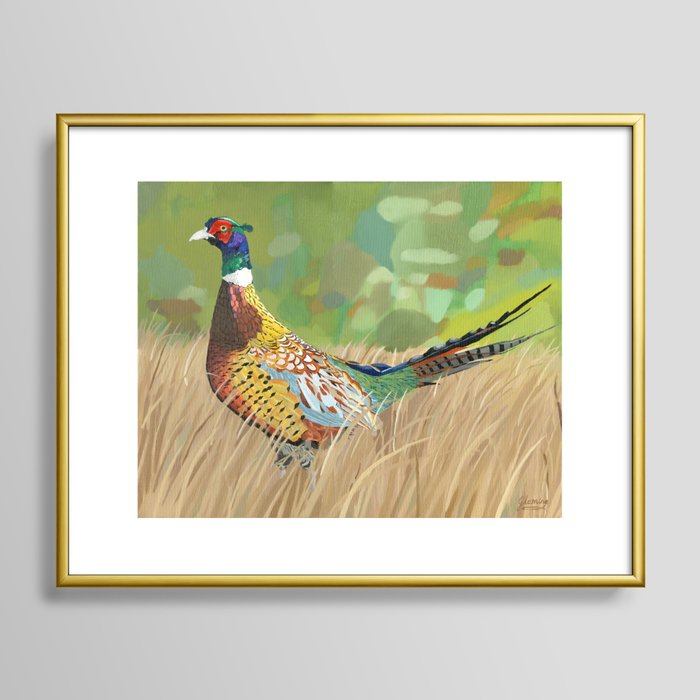 Pheasant Framed Art Print