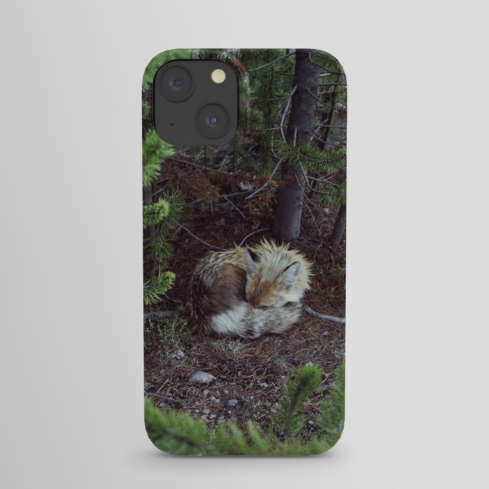 Sleeping Fox iPhone Case