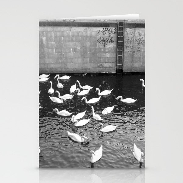 Swans in Berlin Stationery Cards