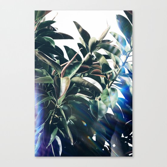 Verve Canvas Print