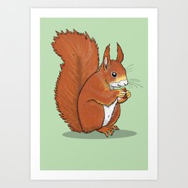 Red Squirrel Art Print