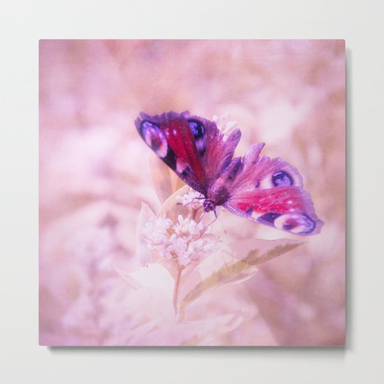 SUMMER BUTTERFLY Metal Print