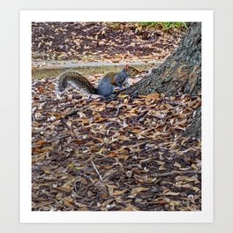 Squirrel at the base of the tree Art Print