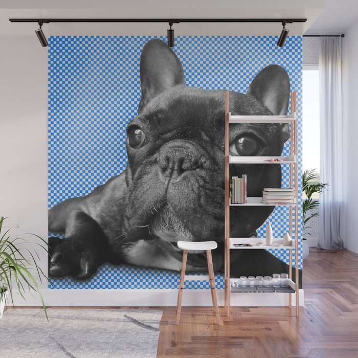 Amazing Mural French Bulldog in the world The ultimate guide 