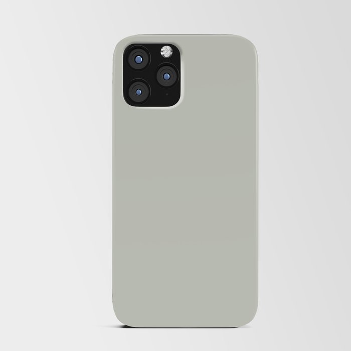 Light Gray Solid Color Pantone Frost 12-6207 TCX Shades of Green Hues iPhone Card Case