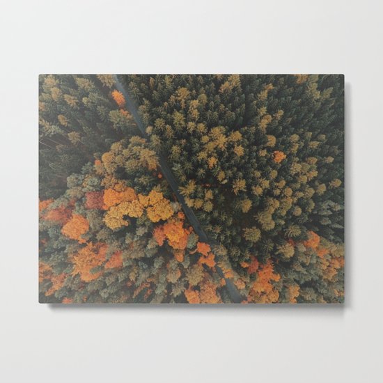 View from above Metal Print