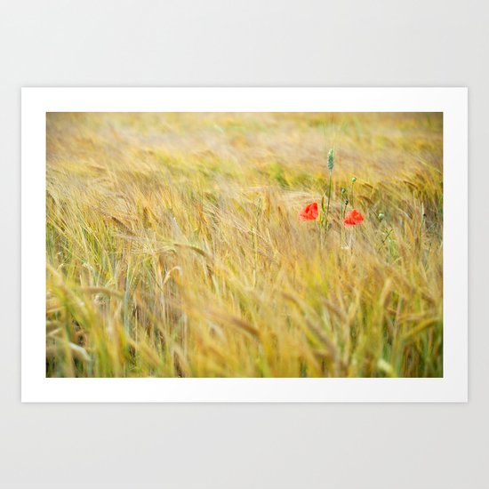 Two lonely poppies Art Print