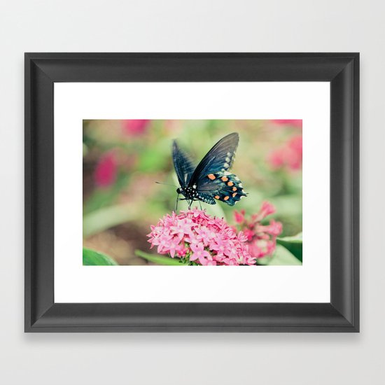 Spring Butterfly Framed Art Print