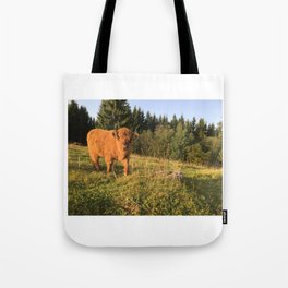 Fluffy Highland Cattle Cow 1188 Tote Bag
