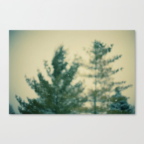 Snowday Canvas Print
