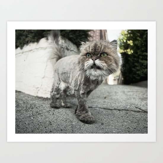 meow. Art Print