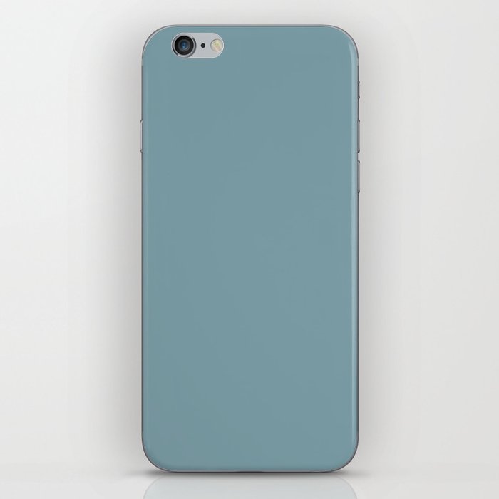 Blue Dolphin iPhone Skin