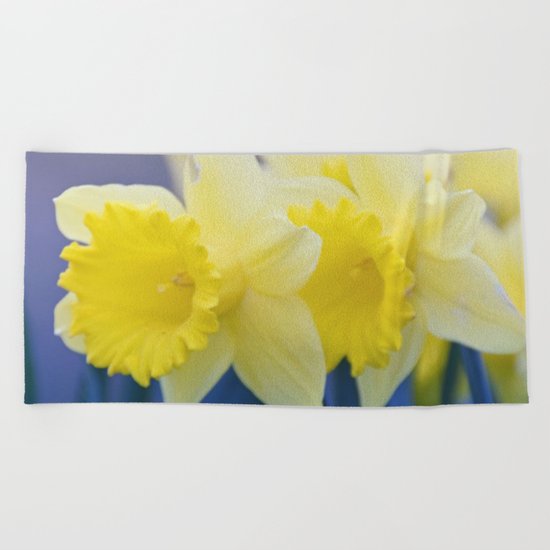 Yellow Narcissus #3 Beach Towel